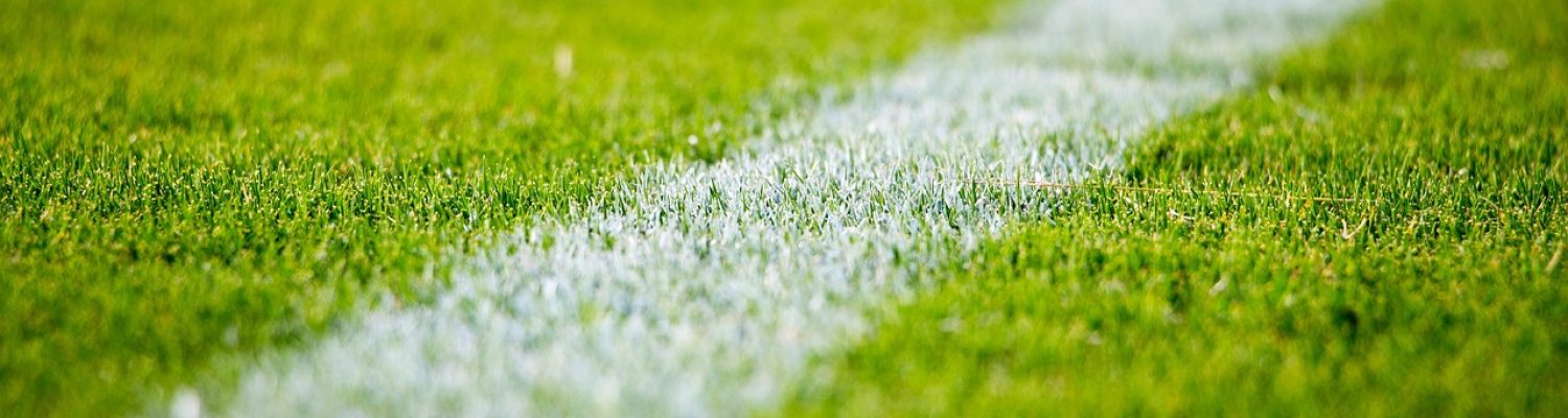 grass-2616911_1280